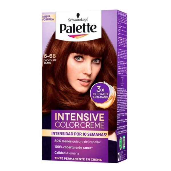 Palette 6-68 Chocolate/Claro