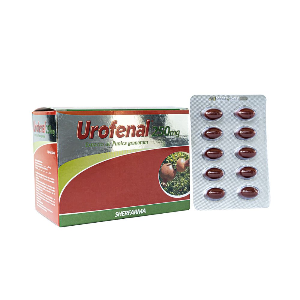 UROFENAL 250MG X60 1 Urofenal 250mg X60 - Imagen 1